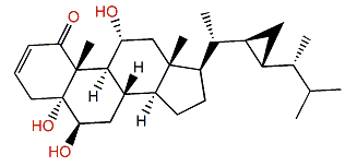 Stoloniferone J